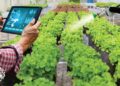 Smart Gardening Tech Revolutionizes Home Horticulture