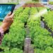 Smart Gardening Tech Revolutionizes Home Horticulture