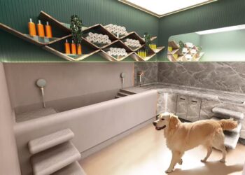 Luxury Pet Care Market Trends and Growth Analysis
