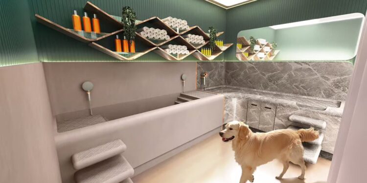 Luxury Pet Care Market Trends and Growth Analysis