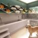 Luxury Pet Care Market Trends and Growth Analysis