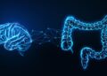 Mastering The Gut-Brain Axis Diet For Optimal Health