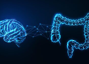Mastering The Gut-Brain Axis Diet For Optimal Health