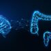 Mastering The Gut-Brain Axis Diet For Optimal Health