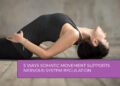Somatic Wellness Regulates Nervous System