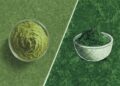 Matcha Culture Dominates Gen Z Beverages