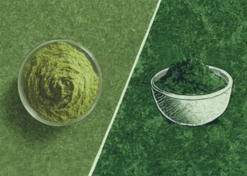 Matcha Culture Dominates Gen Z Beverages