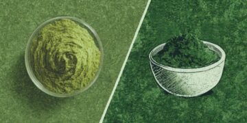 Matcha Culture Dominates Gen Z Beverages