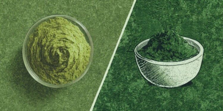 Matcha Culture Dominates Gen Z Beverages