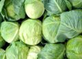 Cabbage Crush Replaces Cauliflower in Food