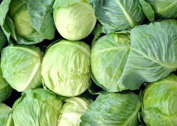 Cabbage Crush Replaces Cauliflower in Food